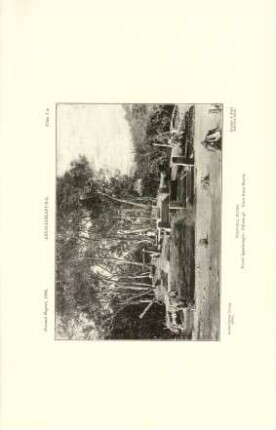 Plate I*. Anurádhapura. Toluvila ruins. North quadrangle: Pilima-gé. View from north.