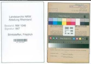 Entnazifizierung Friedrich Brinksteffen , geb. 18.03.1901 (Landwirt)