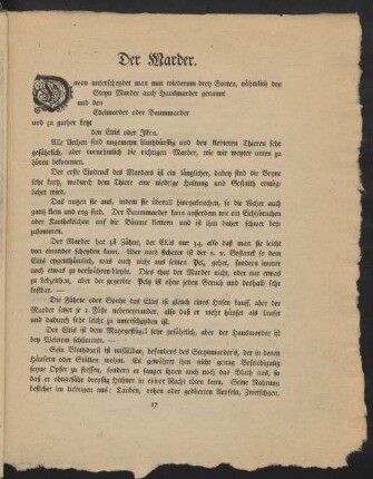 Der Marder.