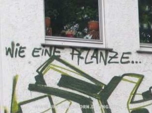 WiE EiNE PFLANZE...