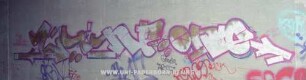 SynE one