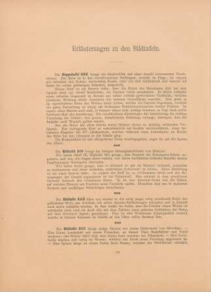 Erläuterungen zu den Bildtafeln
