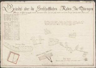 Grundriß über die herrschafftlichen Reben zu Thüengen