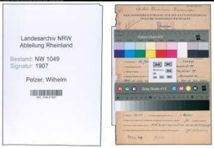 Entnazifizierung Wilhelm Pelzer , geb. 12.01.1915 (Kaufmaennischer Angestellter)