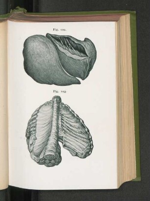 Fig. 102. Fig. 103.