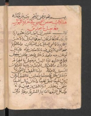 Kitāb Maġnīs al-Ḥimṣī fī maʿrifat al-baul