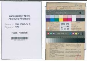 Entnazifizierung Heinrich Haas , geb. 17.10.1903 (Techniker)
