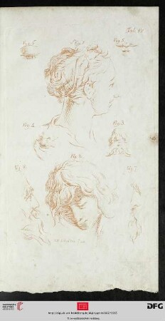 Taf. IV [Gesichter Frau, Jüngling, Greis; Augen, Nase, Mund (Rotdruck)]