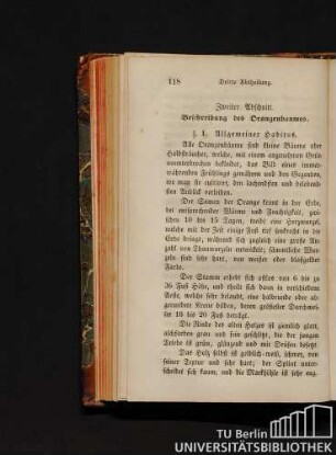 § 1. Allgemeiner Habitus.