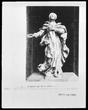 Immaculata