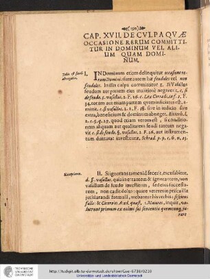 Cap. XVII. De Culpa Quae Occasione Rerum Committitur In Dominum Vel Alium Quam Dominum.