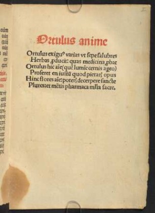 Ortulus anime