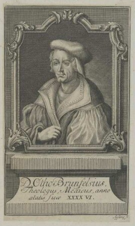 Bildnis des Otho Brunfelsius
