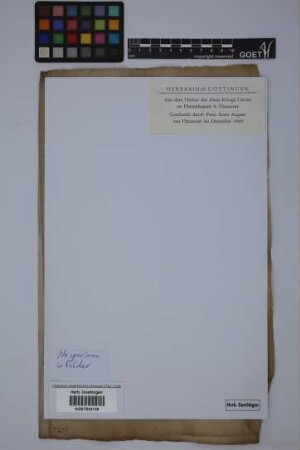 No specimen in folder