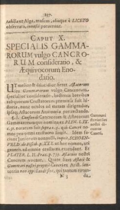 Caput X. Specialis Gammarorum vulgo Cancrorum consideratio, & Aequivocorum Enodatio.