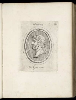 Antonino