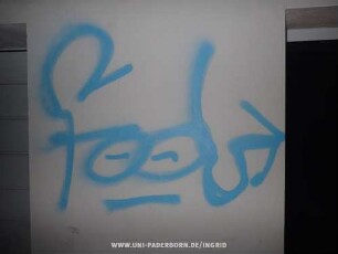 fool