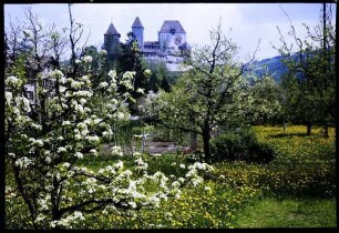 Burgdorf: Burg, Vordergrund Blüten