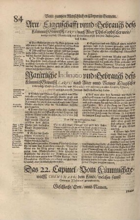 Das 22. Capittel/ Vom Kümmichgewechs Chemonaso/ dem Kindt/ welches sunst Cuminim Thaicum genandt wirdt.