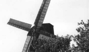 Brehna. Hädicke Mühle, Paltrockmühle (1845 als Bockmühle errichtet, 1947 Umbau)