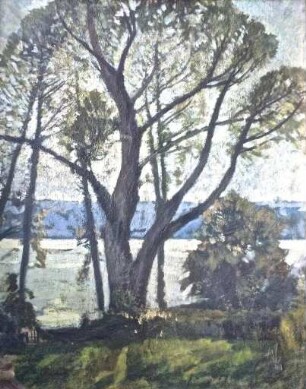 unbenannt [Baum am Schwielowsee]