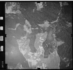 Luftbild: Film 72 Bildnr. 448
