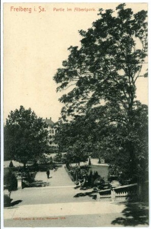 Freiberg. Im Albertpark