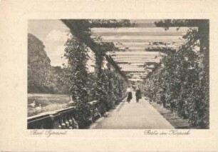 Fürstenweg (Rosengang) im Kurpark