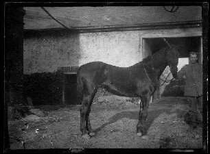 Unbekannte Ortschaft [Nordfrankreich?]: Rappe mit gestutztem Schweif und Pferdebursche in einem kleinen Hof eines landwirtschaftlichen Anwesens
