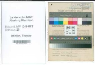 Entnazifizierung Theodor Brinkert , geb. 15.01.1896 (Landwirt)