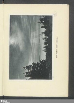 Der Donon im Nebelmeer