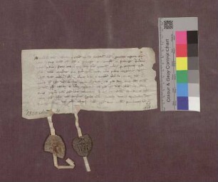 Der Bürger Brächter zu Freiburg überläßt dem Leutpriester Waldner zu Glottertal den Hof zu Maurach, welchen derselbe eingelöst hat, zu seiner Verfügung.