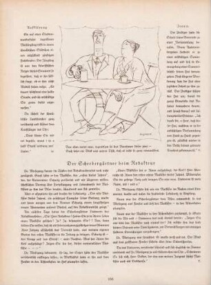 "Von oben meint man, tugendsam sei das Benehmen dieser zwei"
