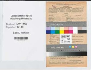 Entnazifizierung Wilhelm Babel, geb. 02.02.1899 (Beamter)