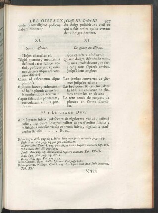 XI. Genus Asionis.