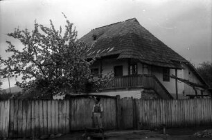 Carpinis: Oltenisches Haus (mit Blütenbaum)