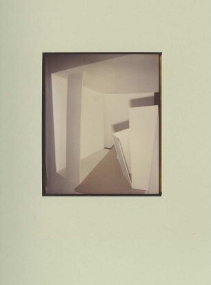 Polaroid #31