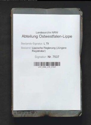 Wiederherstellung der weggerissenen Werrebrücke zwischen Schötmar und Heerse im Jahre 1848