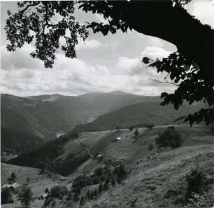 Im Hochschwarzwald