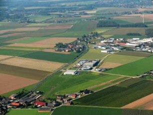 Mackenstein