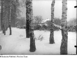 Winterlandschaft mit Birkengruppe und Hellergut. Ansicht von Norden