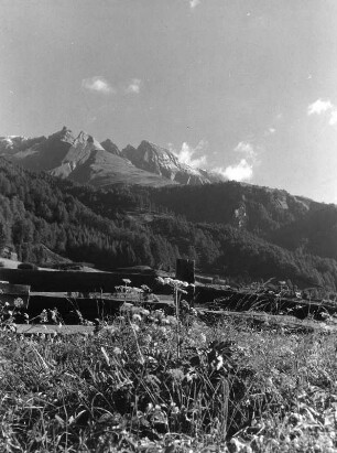 Osttirol. Oberes Kaastal. Niedralm bei der Stadler-Hütte. Blick gegen Gosingkopf und Speikboden