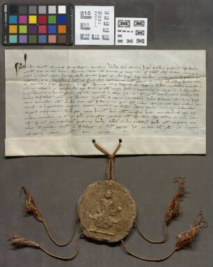 Friedberg: König Adolphs Bestätigung der Privilegien der Stadt Friedberg