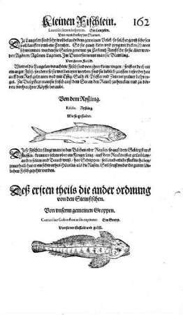Deß ersten Theils die ander Ordnung von den Steinfischen