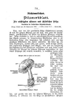 Pilzmerkblatt : [Nichtamtliches]