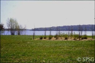 Potsdam, Neuer Garten, Jungpflanzung in der Sacrowsicht im ehemaligen Grenzgebiet.