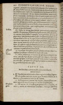 Caput XII. De partibus ventris medii ...