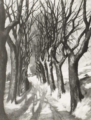 Allee im Winter