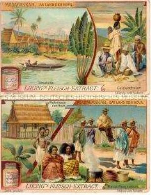 Sammelbilder der Serie "Madagaskar. Das Land der Hova"; mit Werbung für für Liebigs Fleischbrühe; um 1908