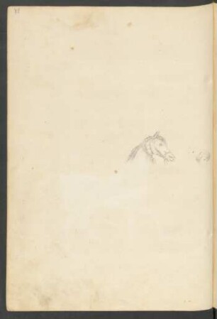 Illustration: f. 81r-82r